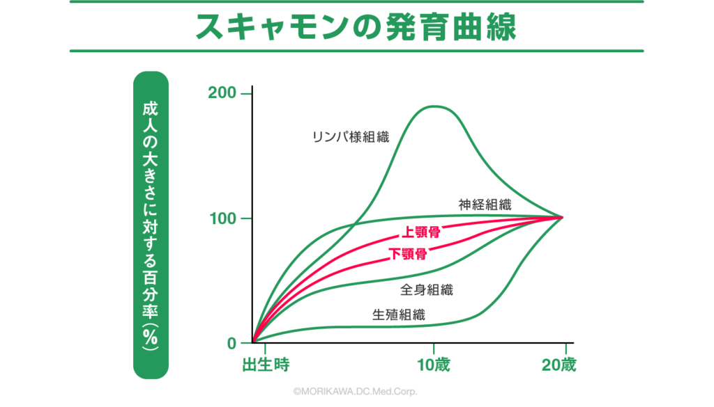 スキャモンの成長曲線